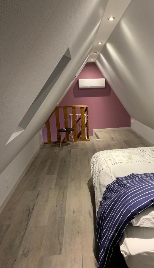 Gite Du Figuier 4 A 6 Personnes Selestat Centre-Alsace Εξωτερικό φωτογραφία