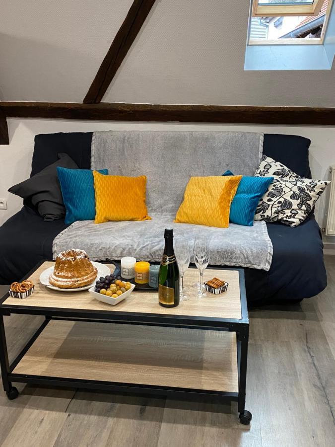 Gite Du Figuier 4 A 6 Personnes Selestat Centre-Alsace Εξωτερικό φωτογραφία