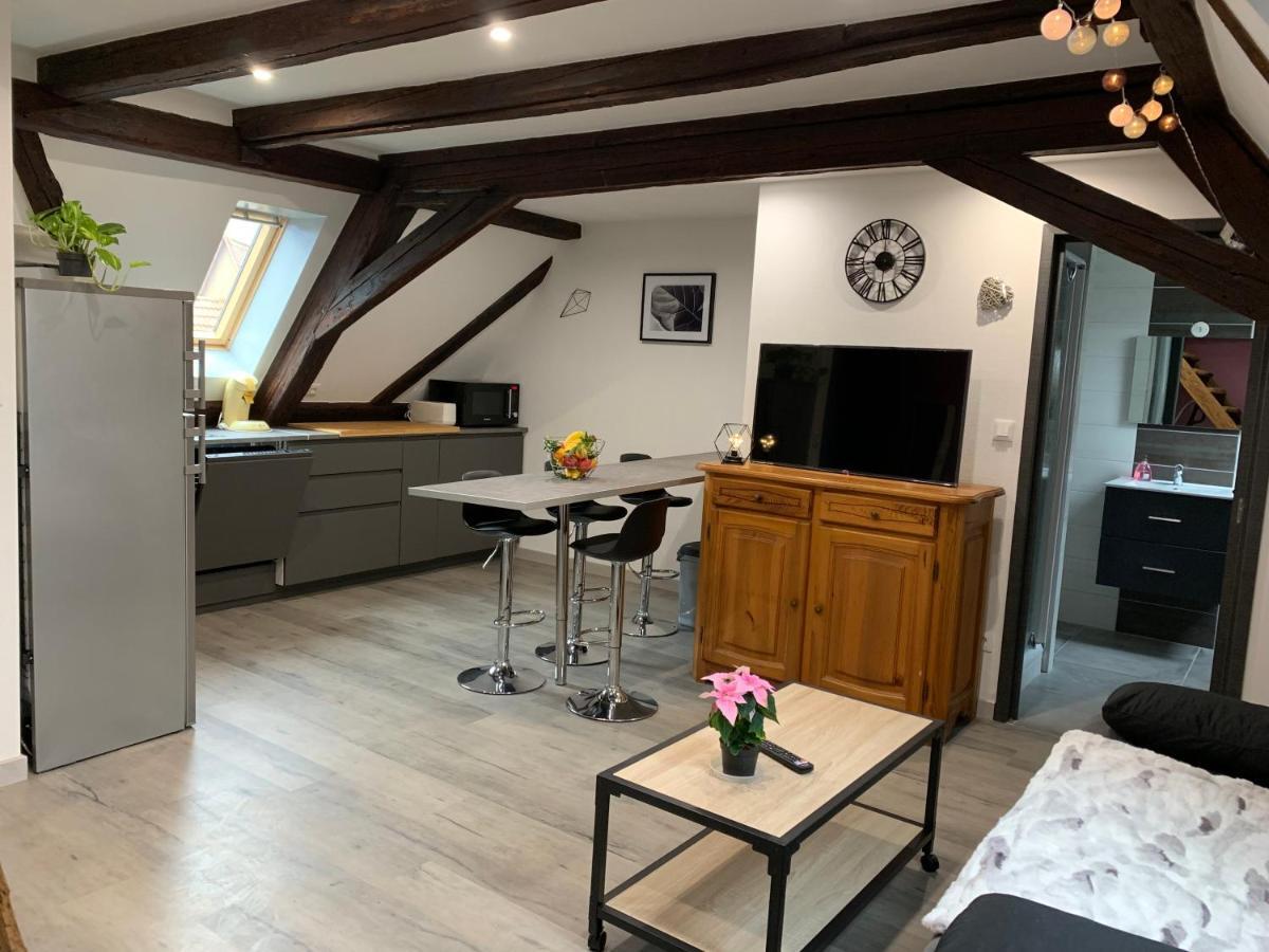 Gite Du Figuier 4 A 6 Personnes Selestat Centre-Alsace Εξωτερικό φωτογραφία